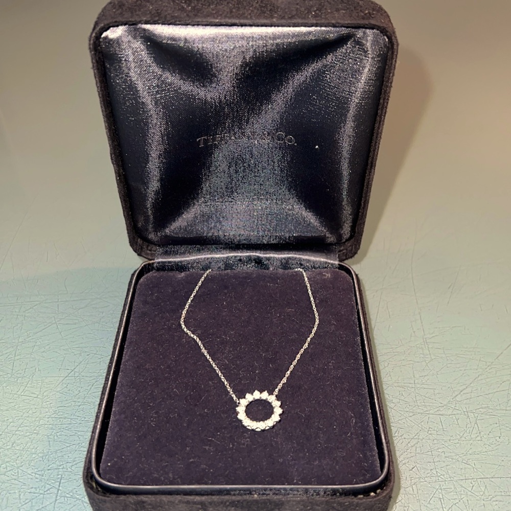 TIFFANY & CO platinum diamond circle of life necklace